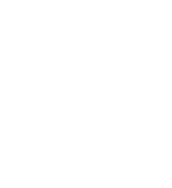 Comitato Leonardo